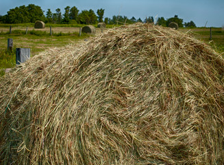 Bales of Hay