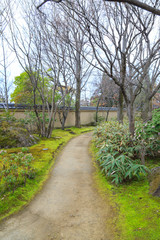Pathway in japan garden.