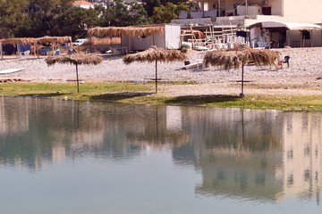 Fototapeta na wymiar natural palm umbrellas on the bank of the river Nahr ibrahim, near the mouth of the river at the end of the summer green algae on the bank reveals intense water pollution