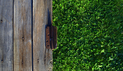 Old rusty door locks on dark boards and green soft grass