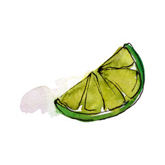 Tasty lime slice in a watercolor style. Background illustration set. Watercolour drawing fashion aquarelle isolated.