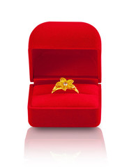 Golden ring with red box