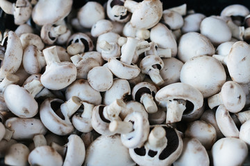 Mushroom champignon background. Agriculture theme