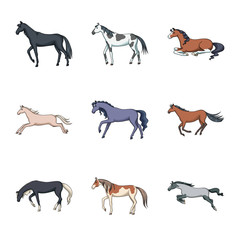 Vector design of animal and stallion sign. Collection of animal and farm vector icon for stock.