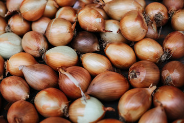 Fresh onions. Onions background. Ripe onions. Onions in market. Organic farmer food