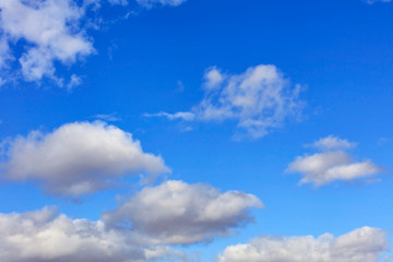 Fototapeta na wymiar White lush and cheerful clouds float in the bright saturated blue sky.