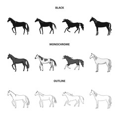 Isolated object of breed and equestrian symbol. Collection of breed and mare stock symbol for web.
