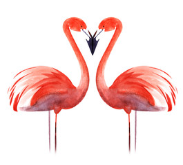 Two flaming Red Pink flamingos On thin legs. Black beak eye dot. Stylized bird for postcards. Hand drawn decorative watercolor illustration. Isolated on a white background