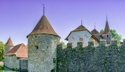 Obraz premium medieval 12th century water castle of Hallwyl in Switzerland