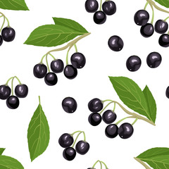 Maqui berry seamless pattern on white background. Branch of fresh healthy berries and green leaves. Vector illustration of superfood in cartoon flat style. Aristotelia chilensis or Chilean wineberry.