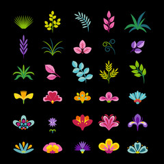 Grass, twigs, leaves and flowers isolated on black background. Set of botanical elements. Vector illustration of floral design elements in simple flat style.