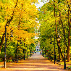 autumn is coming view of city park with yellow and green trees