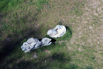 Sculture gargolla di marmo nel prato con erba