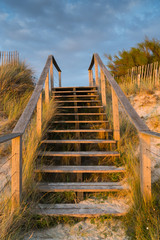 wooden stairs leading over sand dunes to the beach at sunset with reeds and grasses