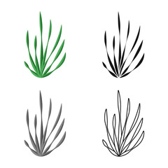 Vector illustration of seaweed and algae logo. Set of seaweed and undersea stock vector illustration.