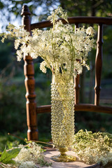 Fresh blooming meadowsweet plant in a vase outdoors