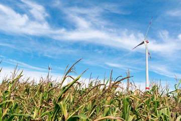 Big Wind Turbine