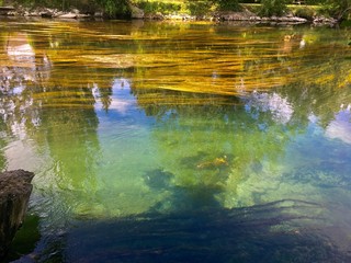 L'Isle sur la Sorgue (84 - Vaucluse)