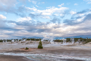 Steam Holes on a Plain in the Yellowstone National Park