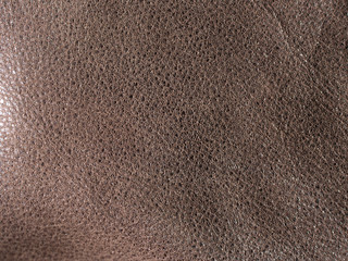 background of an old skin