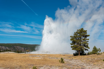 old faithful geyser in yellowstone national park