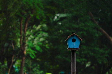 Wooden handmade birdhouse or bird home outdoor in wild on green tree background