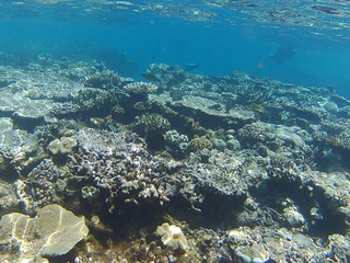 australia