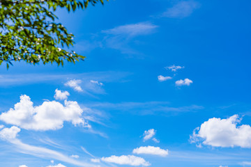 真夏の青空 Wall Mural Wallpaper Murals Wallsheaven あんみつ姫 真夏の青空 Wall Mural Wallpaper Murals Wallsheaven あんみつ姫