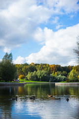 Obraz premium City park in the fall. City landscape in the fall season.