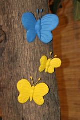 yellow and blue butterflies