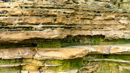Rock face close up photo from Marsden Bay in Sunderland.  Image showing limestone rock structure with green moss growing on it. 250 million years old!