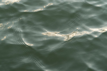 texture of green and blue waves in the sea