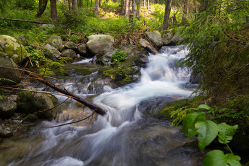 Beautiful nature - forest mountain river. Slovakia