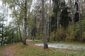 First snow fall in autumn forest with colorful foliage and wet path in cloudy day