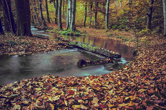Bavaria Germany river Wuerm in autumn long term exposure