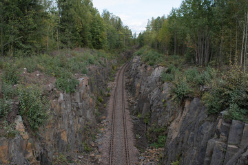 old railway in the forest