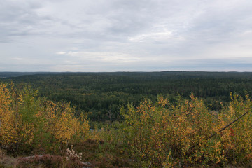 view in the mountains on a boreal forest