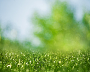 Beauty healthy backgrounds with foliage, green grass and bokeh