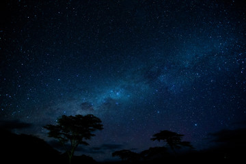 Stars over Africa