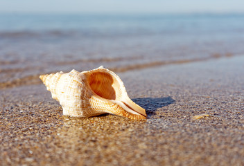 Summer vacation backgrounds with sea surface, lovely sand and water line