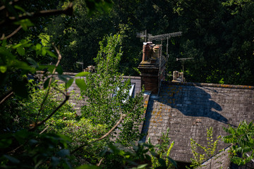 Rooftops viewed from elevated position in Lewes © J-F Phillips