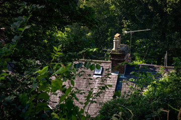 Rooftops viewed from elevated position in Lewes © J-F Phillips