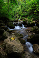 Naklejka na ściany i meble Waterfall in Autumn forest. Beautiful nature background from austria