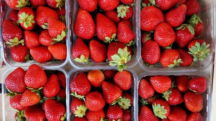 strawberries in basket