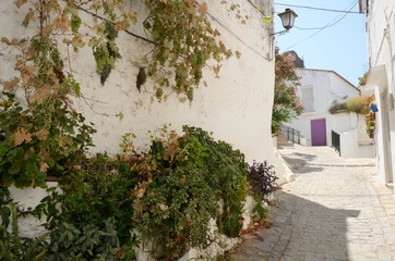 Street in the white village of Casares, Spain