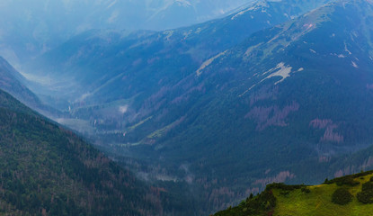 Fototapeta premium Mountain Valley in Tatra Mountains