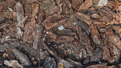 wood texture, brown background of vegetation in natural light. Kara wood