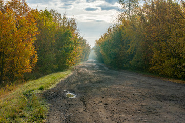 Obraz premium Landscape old dirt road in the fall