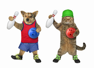 The dog and the cat athletes are playing bowling together. White background. Isolated.