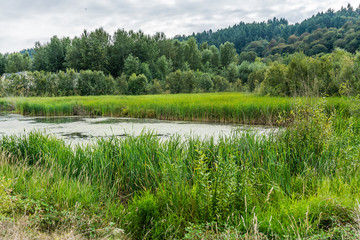Wildlife Refuge Wetlands
